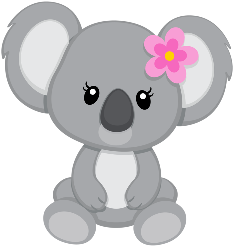 koala